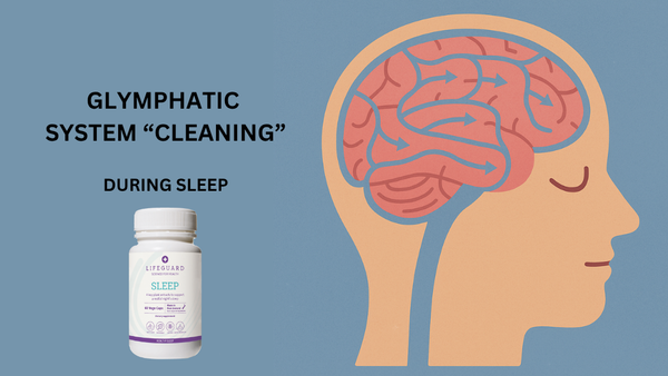 A graphic image of the brain as you sleep - and Lifeguard Sleep Supplements