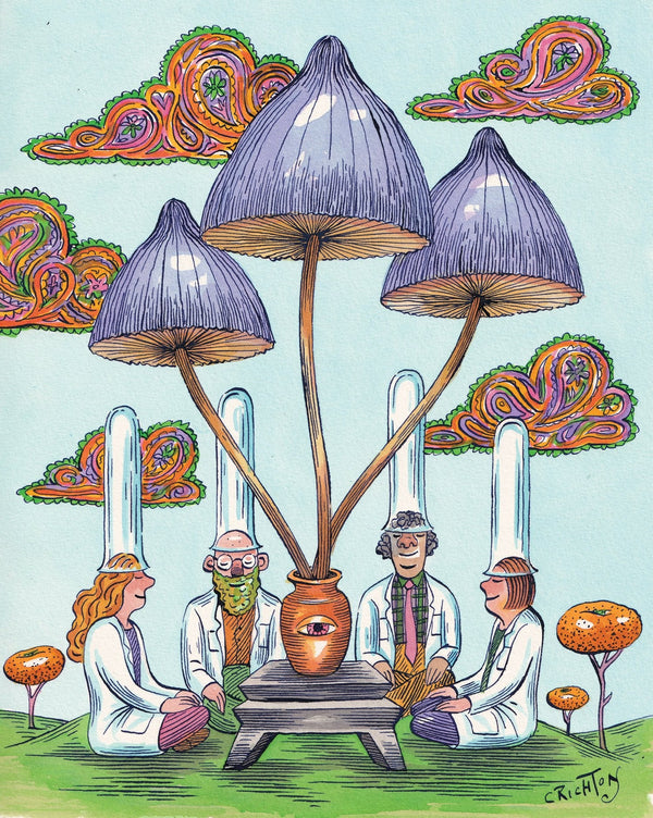 Lucy in the sky with mushrooms