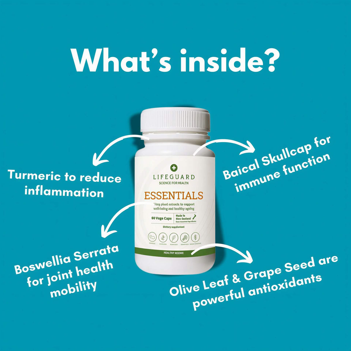 Lifeguard Essentials Lifeguard Essentials NZ: Daily Multivitamin & Energy 45+ – Lifeguard Health